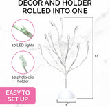 Money Tree Gift Card Holder with 10 Clips and LED Lighted Tips