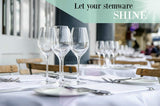 LARGE Microfiber Polishing Cloths For Wine Glasses Stemware and More