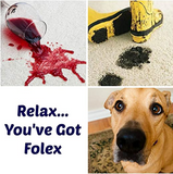 Instant Carpet Spot Remover