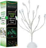 Money Tree Gift Card Holder with 10 Clips and LED Lighted Tips